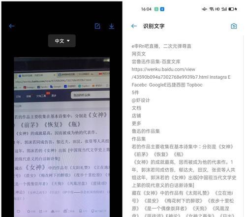 解决网页文字无法复制的问题（探索解决方案）