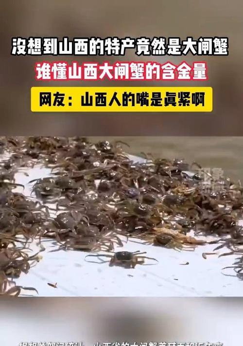 真的没有想到它竟然是第一？揭秘隐藏的市场领导者及其背后的故事？